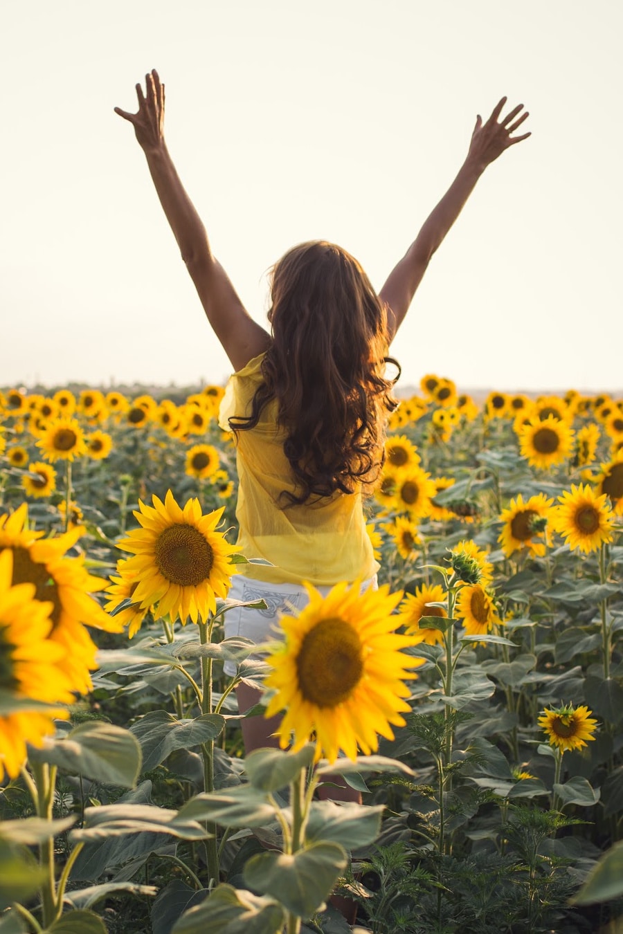 woman with arms in air among sunflowers